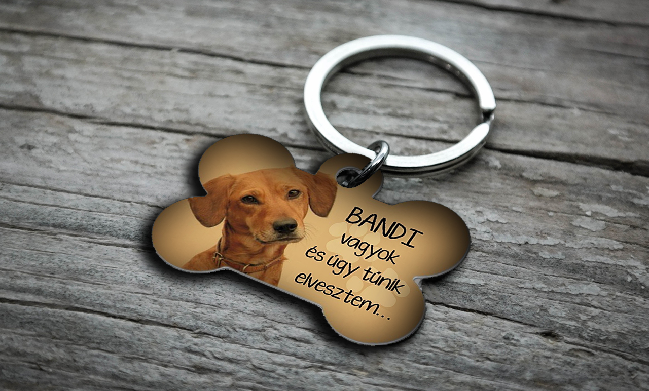 Egyedi fényképes kutyabiléta (csont alakú)