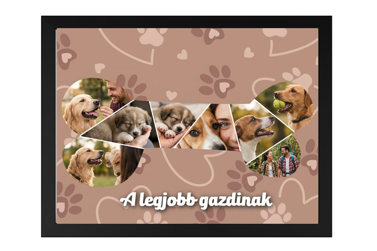 Egyedi kollázs készítés - Állatos -  Csont